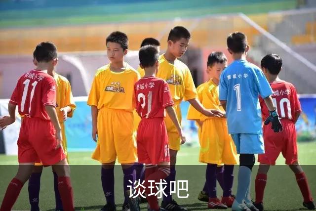 谈球吧企业展示图